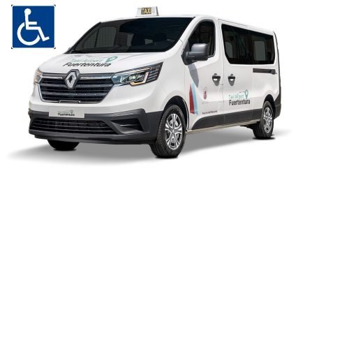 Renault Trafic Wheelchair Accessible